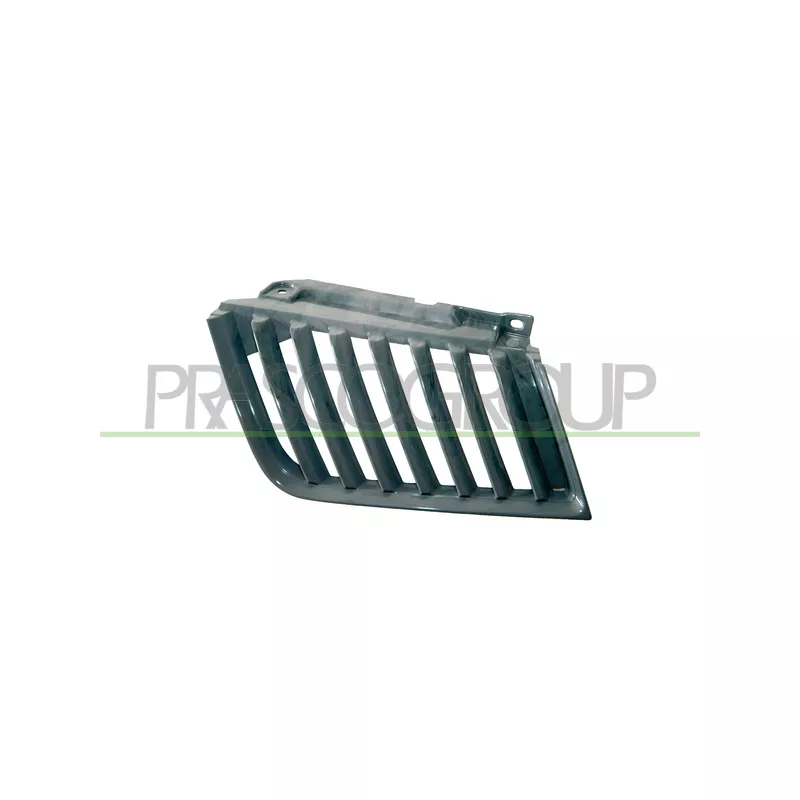 Grille de radiateur PRASCO MB8212004