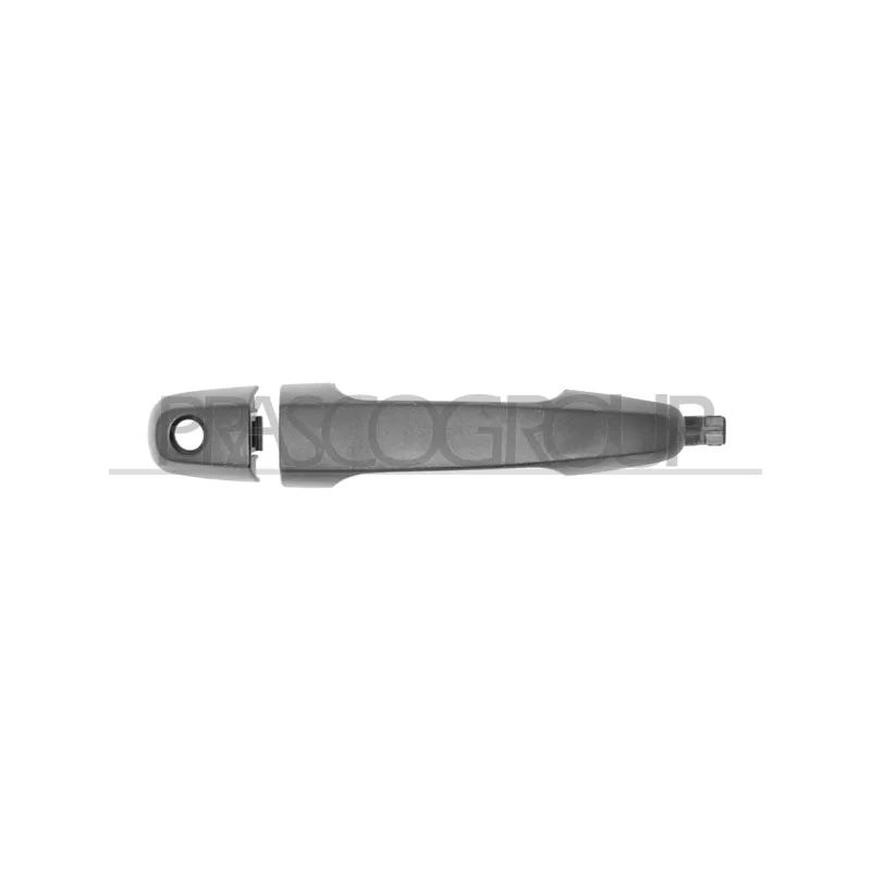 Poignée extérieure de porte avant droit PRASCO MB8218011