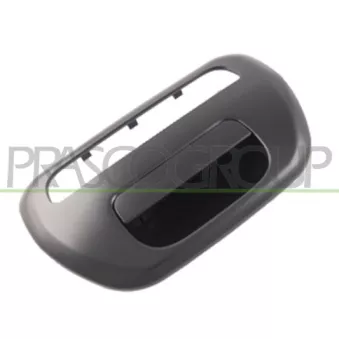 Poignée extérieure de porte PRASCO MB8218301