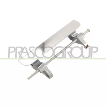 Poignée extérieure de porte PRASCO MB8218805