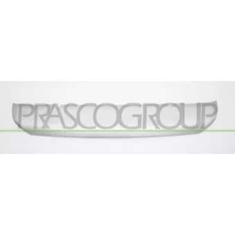 Baguette et bande protectrice, pare-chocs PRASCO MB8241245