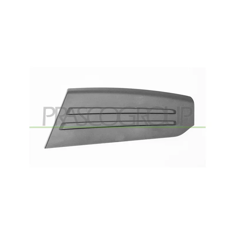 Baguette et bande protectrice, pare-chocs arrière gauche PRASCO MB8241254