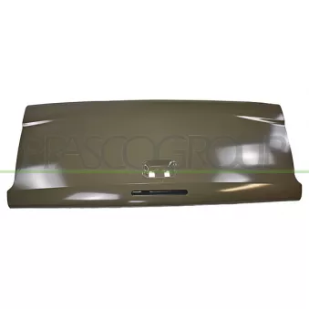 Porte arrière PRASCO