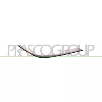 Baguette et bande protectrice, pare-chocs avant droit PRASCO ME0251245
