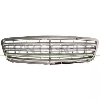 Grille de radiateur PRASCO ME0282020