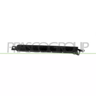 Bordure de phare avant droit PRASCO ME0332113