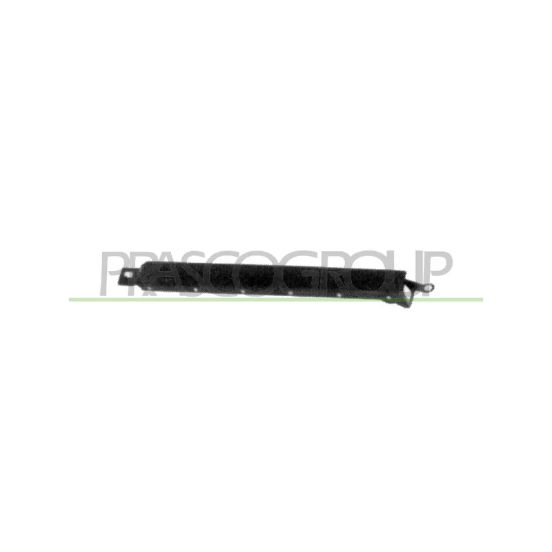 Bordure de phare avant droit PRASCO ME0332113