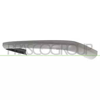 Spoiler PRASCO ME0391861
