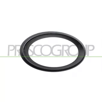 Cadre, projecteur antibrouillard PRASCO ME0411243