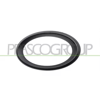 Cadre, projecteur antibrouillard PRASCO ME0411244
