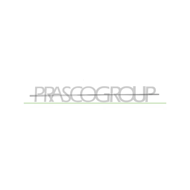 Baguette et bande protectrice, porte avant droit PRASCO ME0431403