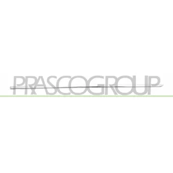 Baguette et bande protectrice, porte arrière droit PRASCO ME0431453