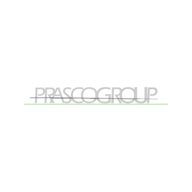 Baguette et bande protectrice, porte avant droit PRASCO ME0451403