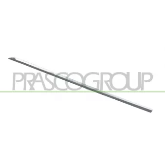 Baguette et bande protectrice, porte arrière gauche PRASCO ME0451454