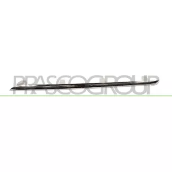 Baguette et bande protectrice, grille de radiateur PRASCO