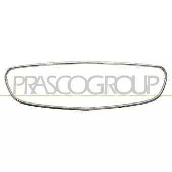 Cadre, grille de radiateur PRASCO ME0452305