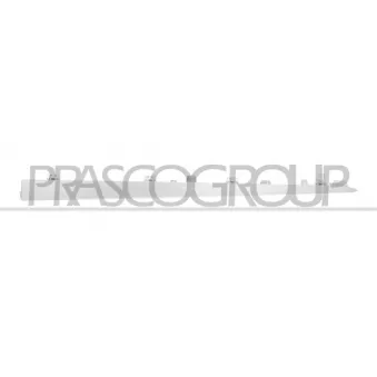 Baguette et bande protectrice, porte arrière droit PRASCO ME0471453