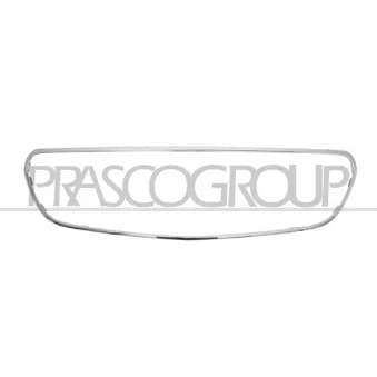 Cadre, grille de radiateur PRASCO ME0472305
