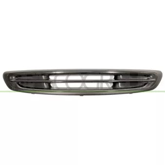 Grille de radiateur PRASCO ME3022001