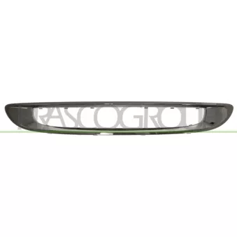 Cadre, grille de radiateur PRASCO ME3052315