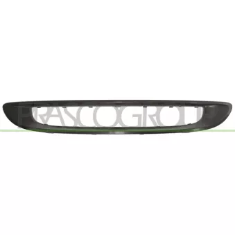 Cadre, grille de radiateur PRASCO ME3052325