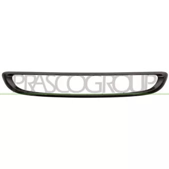 Cadre, grille de radiateur PRASCO ME3072305