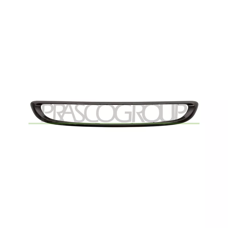 Cadre, grille de radiateur PRASCO ME3072305