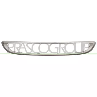 Cadre, grille de radiateur PRASCO ME3072315