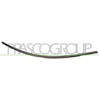 Baguette et bande protectrice, pare-chocs arrière gauche PRASCO