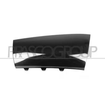 Spoiler arrière gauche PRASCO ME3331864