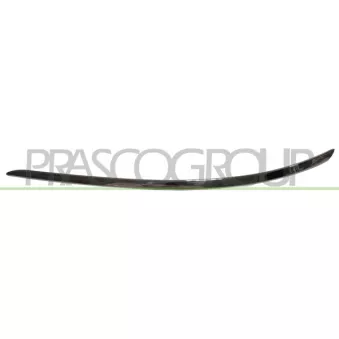 Baguette et bande protectrice, pare-chocs avant gauche PRASCO ME4221228