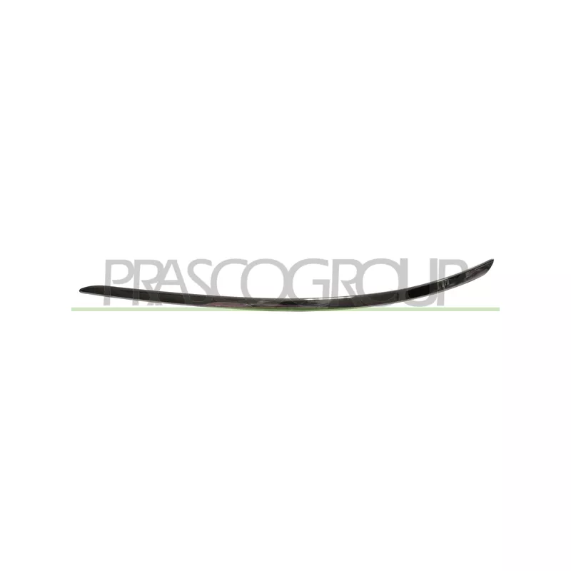 Baguette et bande protectrice, pare-chocs avant gauche PRASCO ME4221228