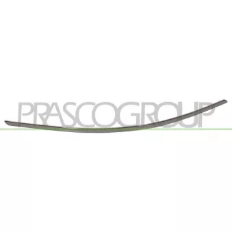 Baguette et bande protectrice, pare-chocs avant gauche PRASCO ME4241228