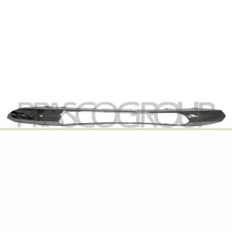 Cadre, projecteur antibrouillard PRASCO ME4241241