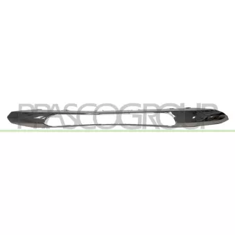 Cadre, projecteur antibrouillard PRASCO ME4241242