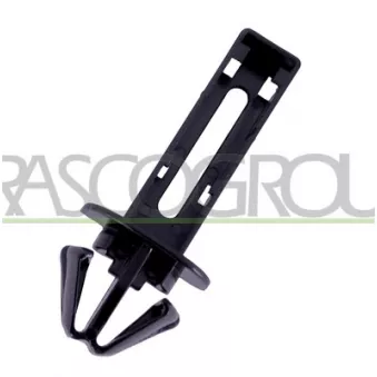 Cuvelage, projecteur principal PRASCO