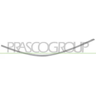 Baguette et bande protectrice, pare-chocs arrière droit PRASCO ME4401253