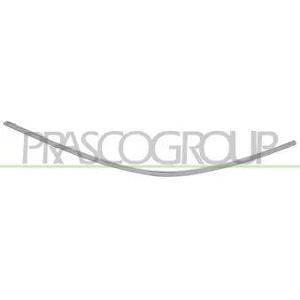 Baguette et bande protectrice, pare-chocs arrière gauche PRASCO ME4401254