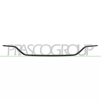 Baguette et bande protectrice, pare-chocs PRASCO ME4441265