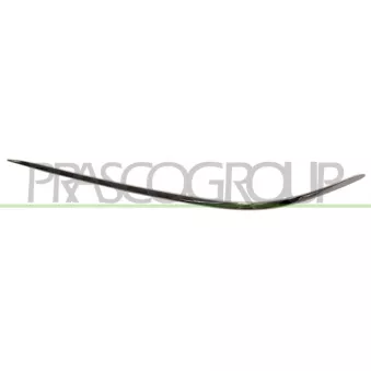 Baguette et bande protectrice, pare-chocs avant gauche PRASCO ME5241248