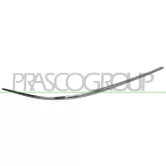 Baguette et bande protectrice, pare-chocs arrière droit PRASCO ME6421245