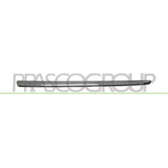 Baguette et bande protectrice, grille de radiateur PRASCO ME7002204