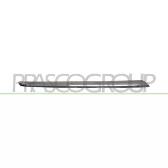 Baguette et bande protectrice, grille de radiateur PRASCO ME7002213