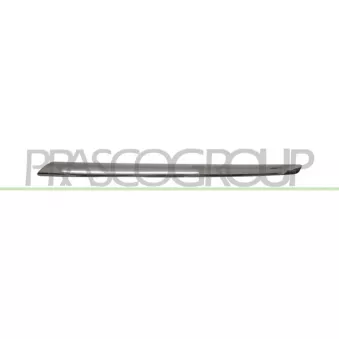 Baguette et bande protectrice, grille de radiateur PRASCO ME7002214