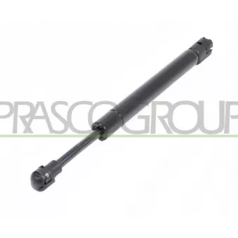Vérin, capot-moteur PRASCO ME8209005