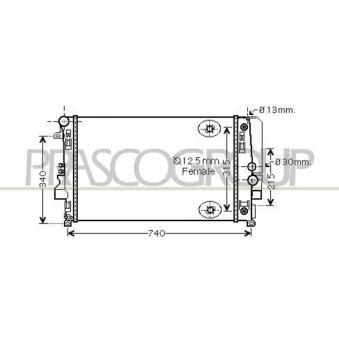 Radiateur, refroidissement du moteur PRASCO ME909R001