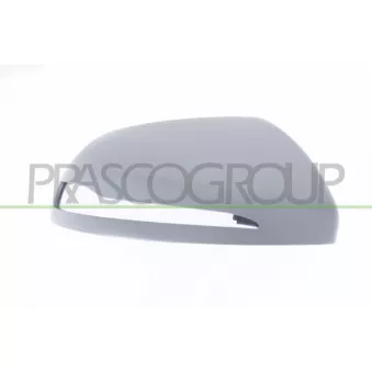 Revêtement, rétroviseur extérieur PRASCO ME9127413