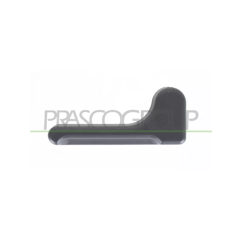 Poignée extérieure de porte PRASCO ME9128311