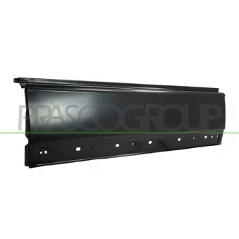 Panneau latéral PRASCO ME9193524