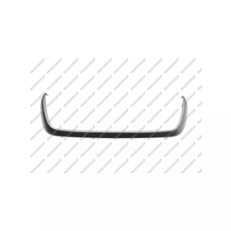 Baguette et bande protectrice, grille de radiateur PRASCO ME9232305